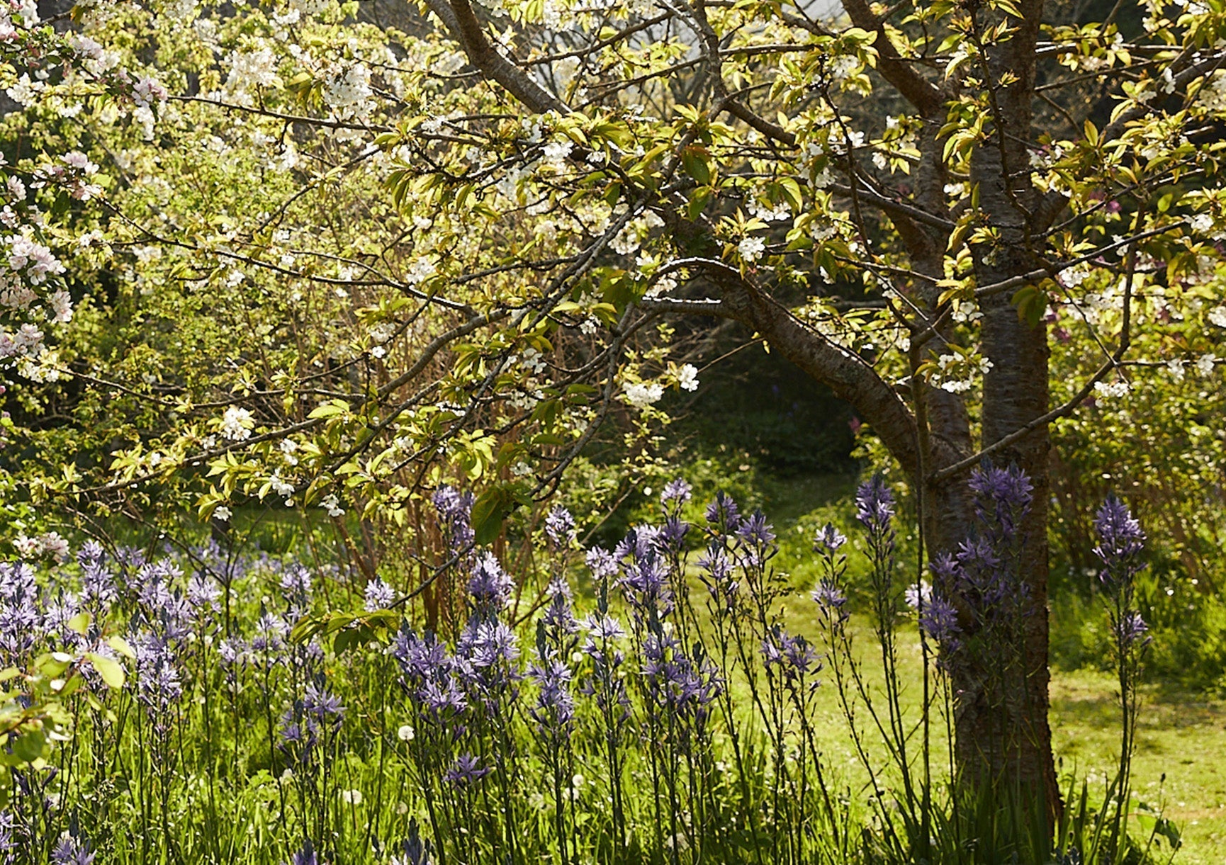 An Ode to Spring