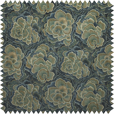 TRAMETES Velvet - Carex