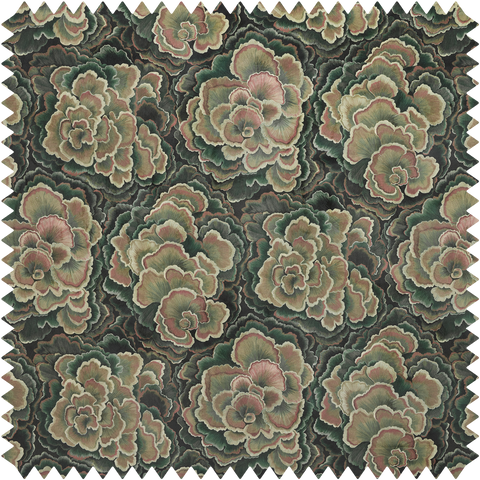 TRAMETES Velvet - Hosta