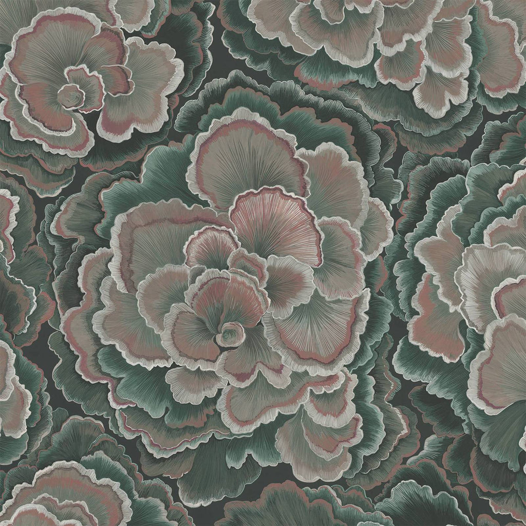 3 metres - full height wallpaper