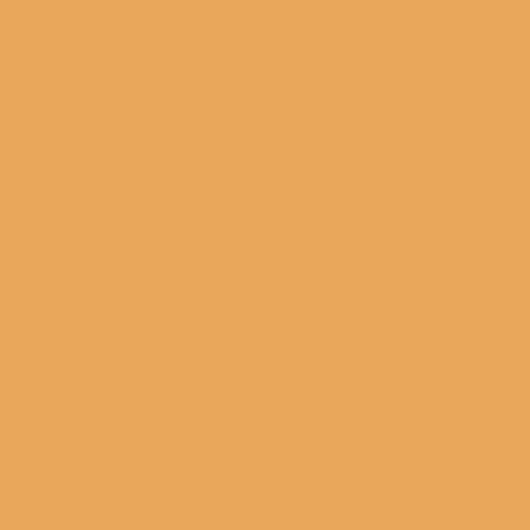 GAMBOGE Paint - 13 Swatch