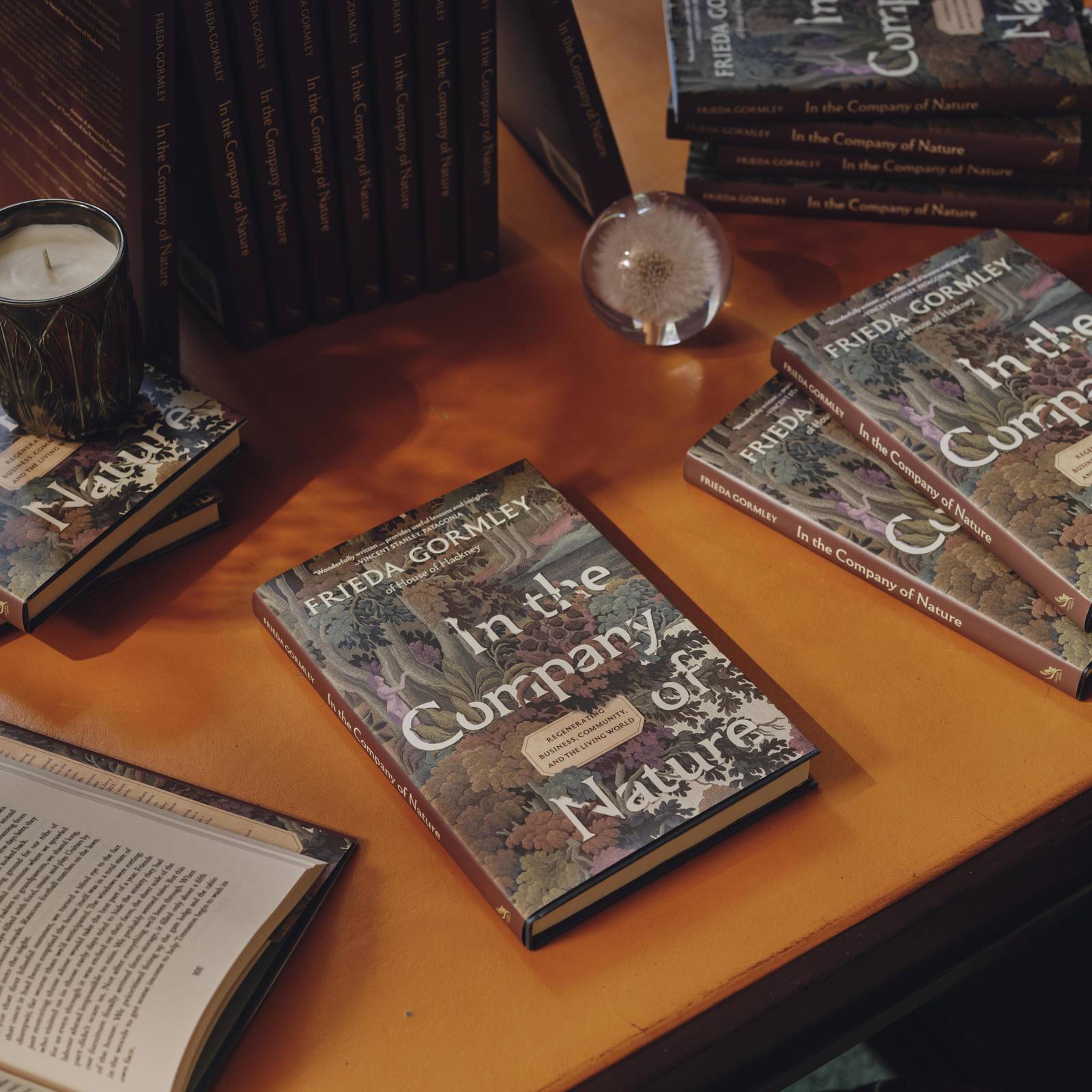 In the Company of Nature: A Book by Frieda Gormley