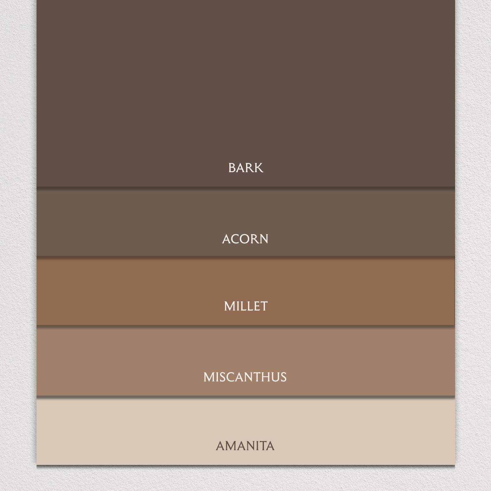 PAINT SAMPLE PACK - Browns