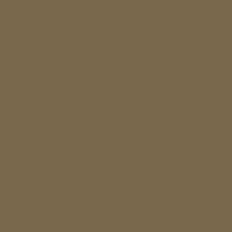 CAREX Paint - 101 Swatch