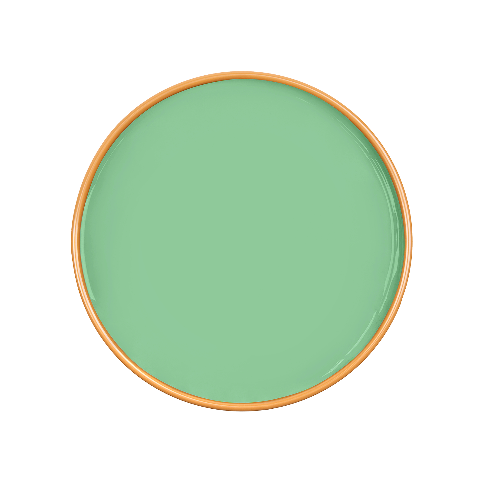 ANISE Paint - 65