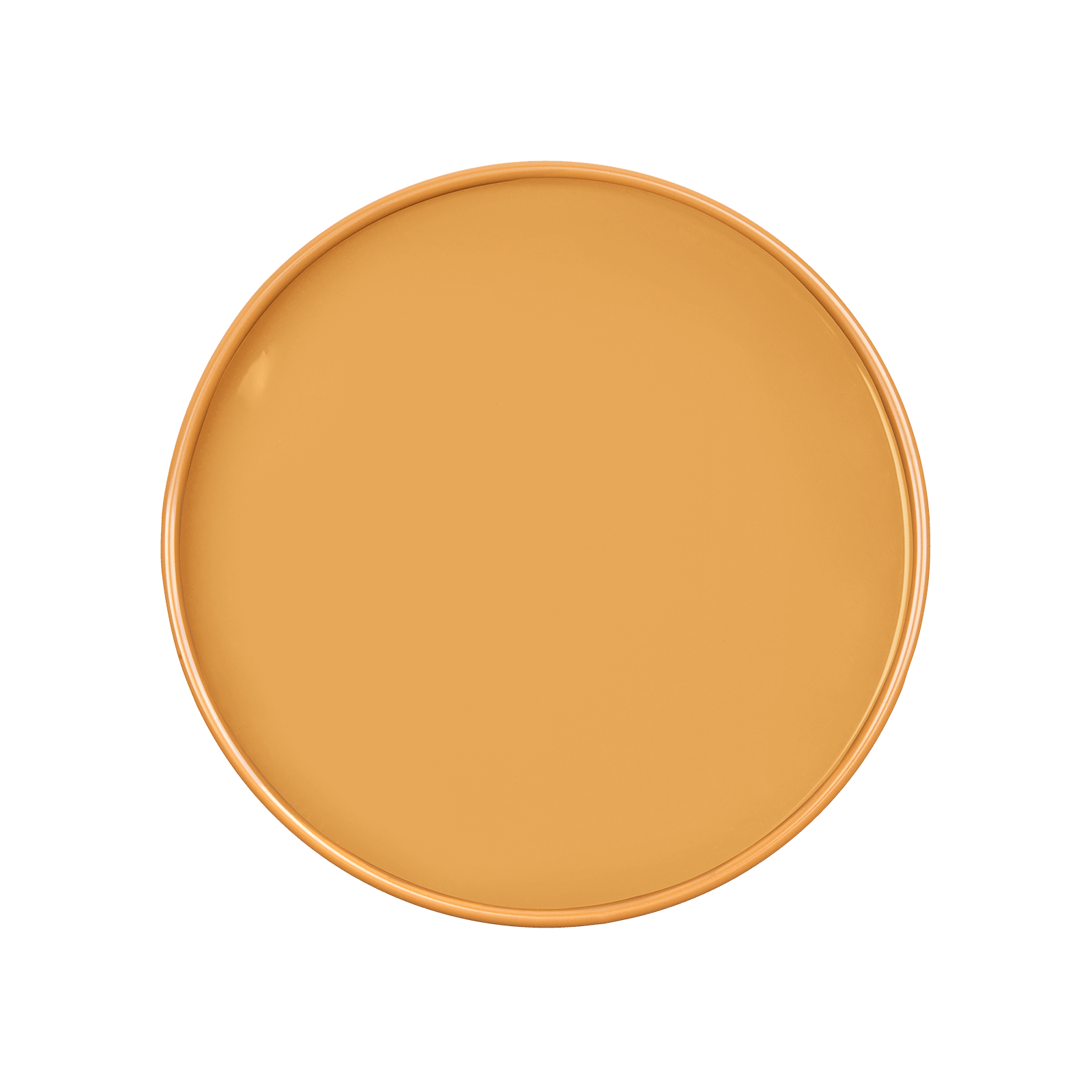 GAMBOGE Paint - 13
