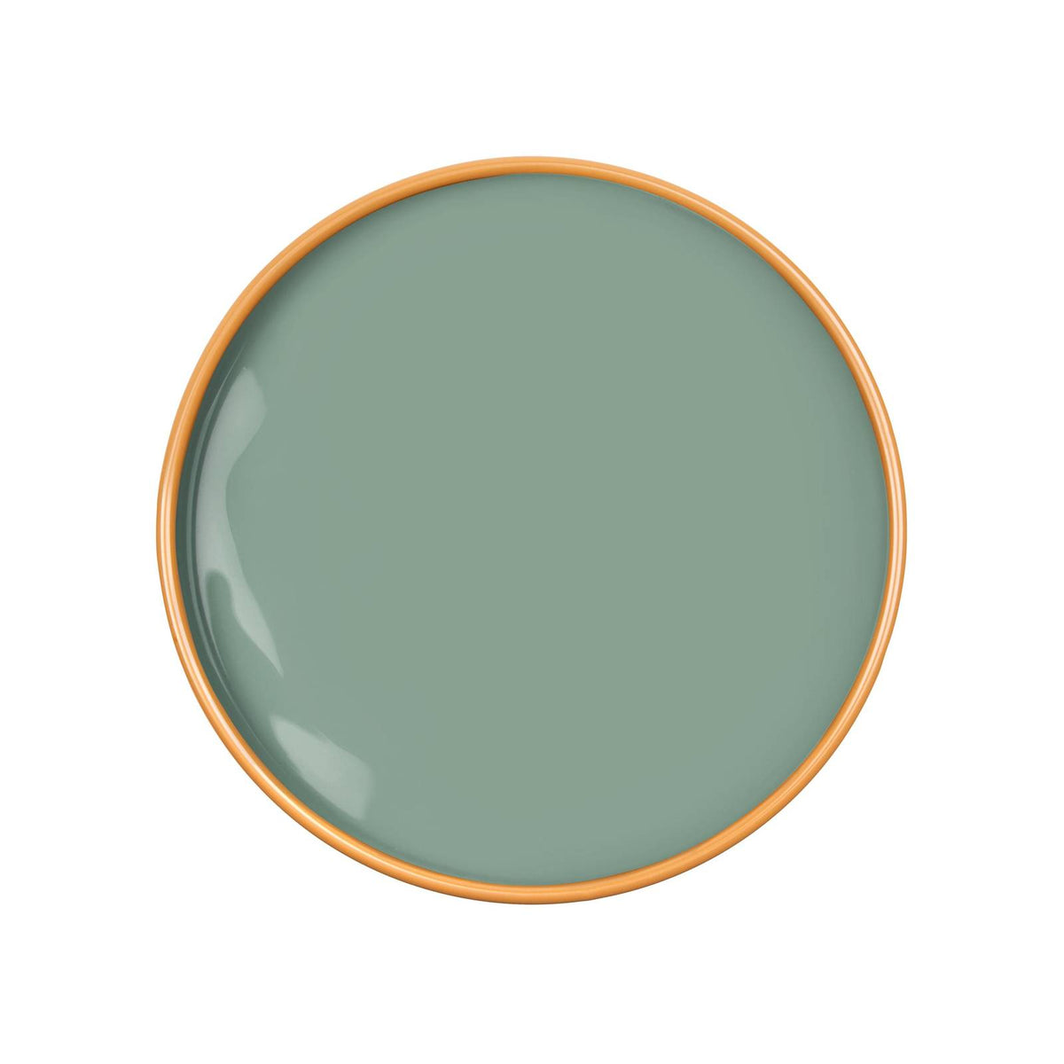 a plate with a light green surface