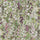 HOLLYHOCKS Wallpaper - Meadow