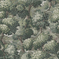 NEMOR Wallpaper - Verde