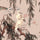 ZEUS Wallpaper - Plaster