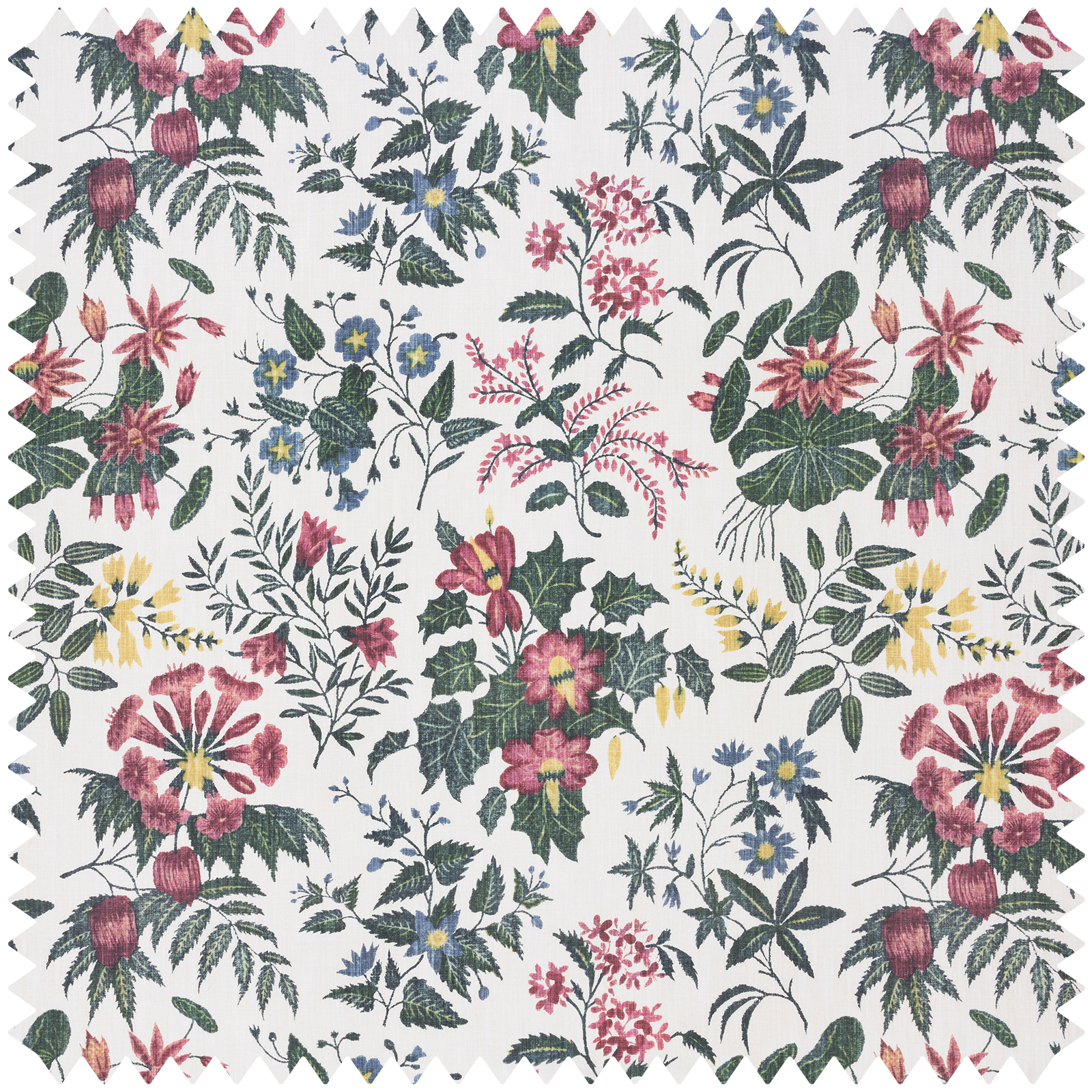 LODDIGES Cotton Linen - Achillea