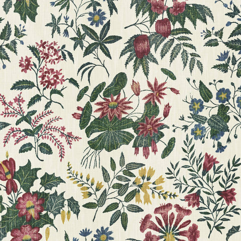 LODDIGES Wallpaper - Achillea Sample