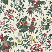 LODDIGES Wallpaper - Achillea